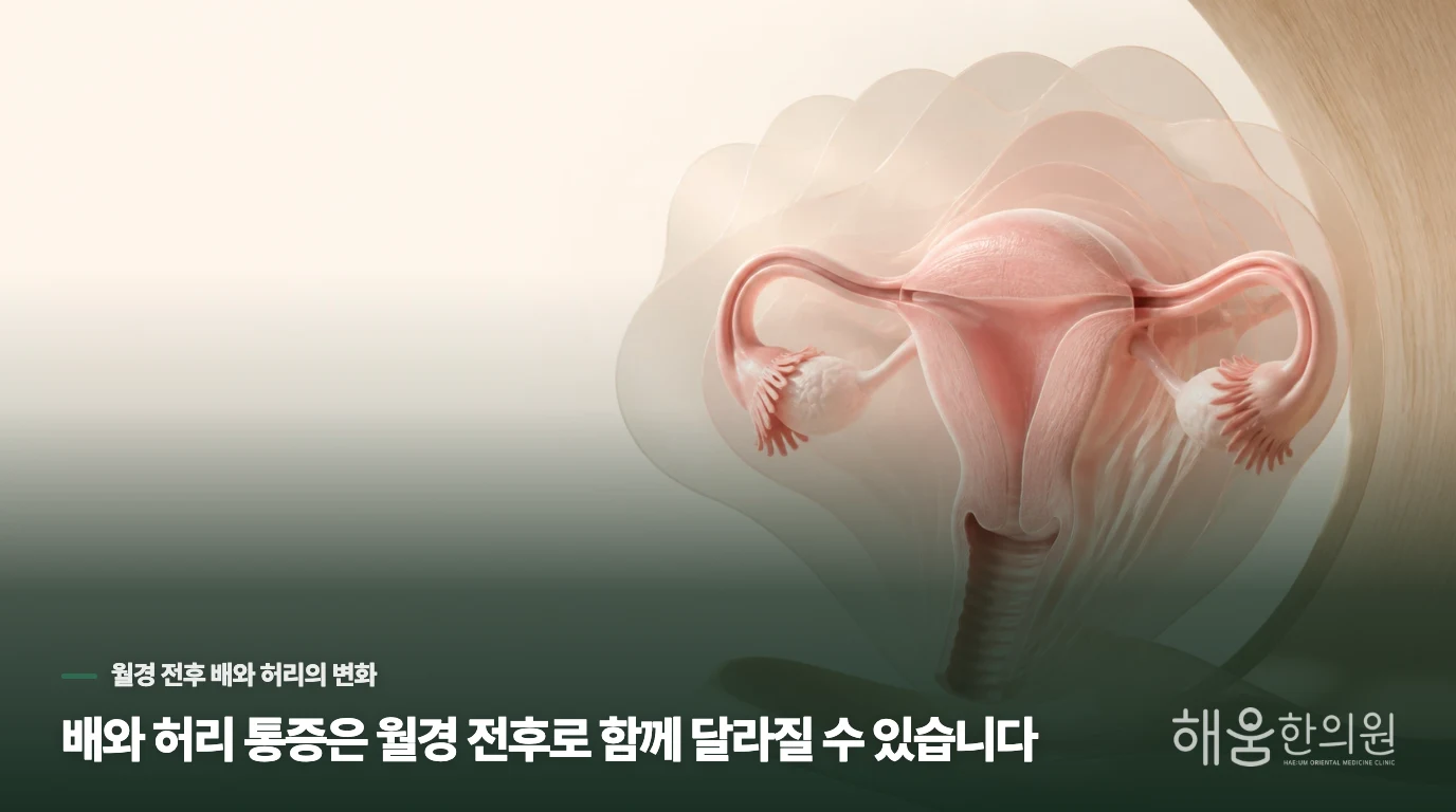 배와 허리 통증은 월경 전후로 함께 달라질 수 있습니다