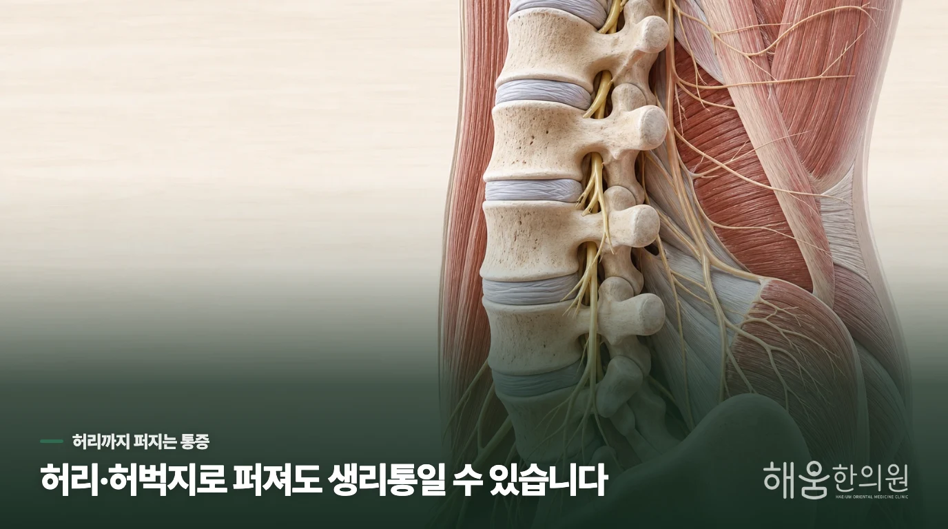 생리통은 왜 허리와 허벅지까지 퍼질까요?