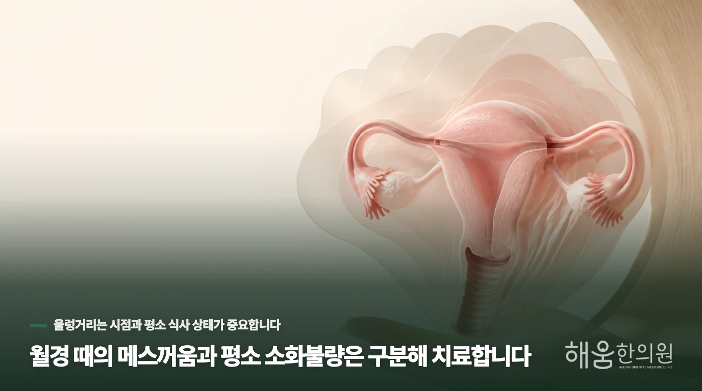월경 때의 메스꺼움과 평소 소화불량은 구분해 치료합니다