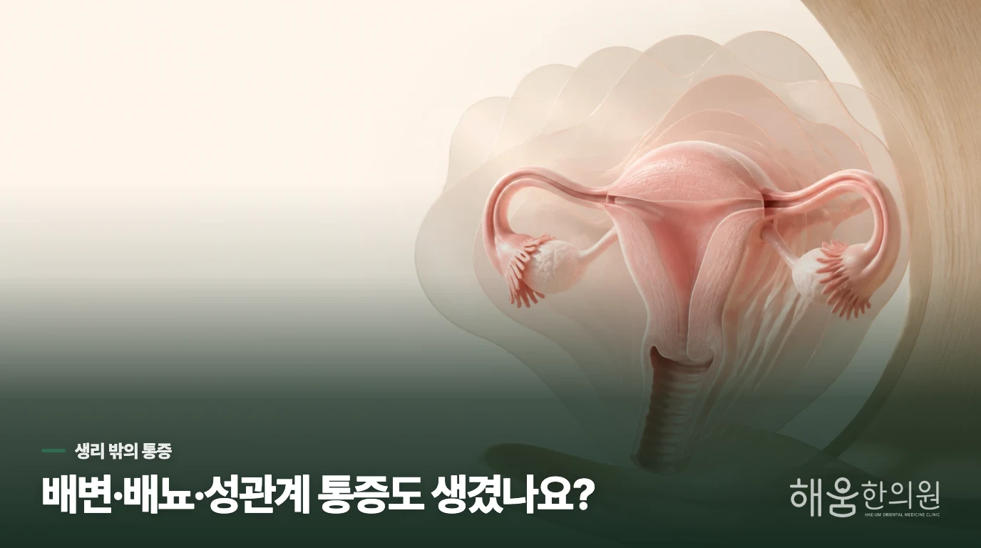 생리 밖 통증과 다른 골반 증상은 왜 살펴야 하나요?