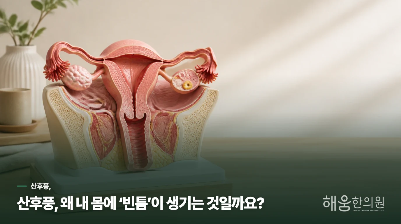 산후풍, 왜 내 몸에 ‘빈틈’이 생기는 것일까요?