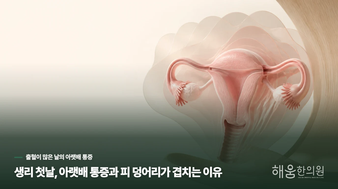 생리 첫날, 아랫배 통증과 피 덩어리가 겹치는 이유